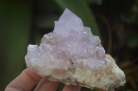 Natural Amethyst Cactus Flower Spirit Quartz Clusters x 3 From South Africa