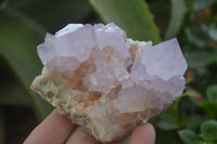 Natural Amethyst Cactus Flower Spirit Quartz Clusters x 3 From South Africa