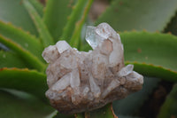 Natural Clear Quartz Clusters x 12 From Madagascar