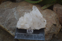 Natural Clear Quartz Clusters x 12 From Madagascar