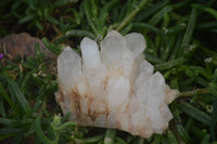 Natural Clear Quartz Clusters x 12 From Madagascar