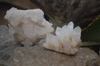 Natural Clear Quartz Clusters x 12 From Madagascar