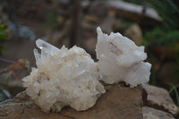 Natural Clear Quartz Clusters x 12 From Madagascar