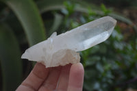 Natural Clear Quartz Clusters x 12 From Madagascar