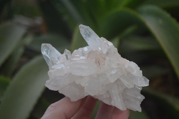 Natural Clear Quartz Clusters x 12 From Madagascar