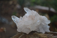 Natural Clear Quartz Clusters x 12 From Madagascar