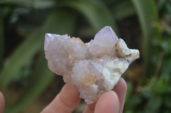 Natural Amethyst Spirit Quartz Clusters x 6 From Boekenhouthoek, South Africa