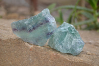 Natural Watermelon Fluorite Cobbed Specimens x 12 From Uis, Namibia