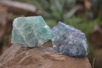 Natural Watermelon Fluorite Cobbed Specimens x 12 From Uis, Namibia