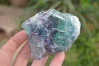 Natural Watermelon Fluorite Cobbed Specimens x 12 From Uis, Namibia