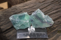 Natural Watermelon Fluorite Cobbed Specimens x 12 From Uis, Namibia