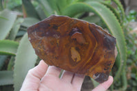 Polished On One Side Nguni Jasper Specimens x 2 From Prieska, South Africa