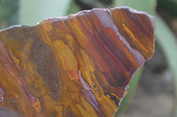 Polished On One Side Nguni Jasper Specimens x 2 From Prieska, South Africa