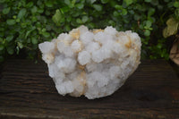 Natural Cactus Flower Spirit Quartz Cluster x 1 From Boekenhouthoek, South Africa