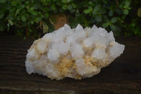 Natural Cactus Flower Spirit Quartz Cluster x 1 From Boekenhouthoek, South Africa