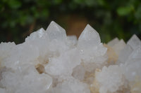 Natural Cactus Flower Spirit Quartz Cluster x 1 From Boekenhouthoek, South Africa