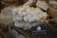 Natural Cactus Flower Spirit Quartz Cluster x 1 From Boekenhouthoek, South Africa