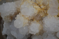 Natural Cactus Flower Spirit Quartz Cluster x 1 From Boekenhouthoek, South Africa