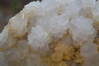 Natural Cactus Flower Spirit Quartz Cluster x 1 From Boekenhouthoek, South Africa