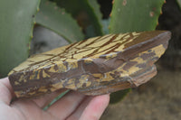 Polished On One Side Nguni Jasper Specimens x 2 From Prieska, South Africa