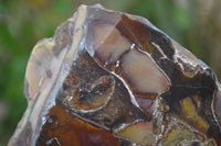 Polished On One Side Nguni Jasper Specimens x 2 From Prieska, South Africa