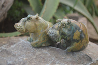 Polished Mixed Stone Hippo Carvings x 3 From Zimbabwe