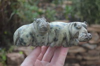 Polished Mixed Stone Hippo Carvings x 3 From Zimbabwe