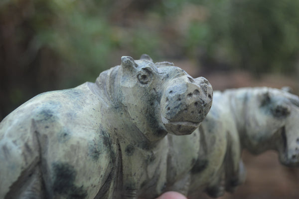 Polished Mixed Stone Hippo Carvings x 3 From Zimbabwe