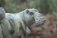 Polished Mixed Stone Hippo Carvings x 3 From Zimbabwe