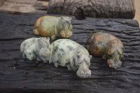 Polished Mixed Stone Hippo Carvings x 3 From Zimbabwe