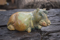 Polished Mixed Stone Hippo Carvings x 3 From Zimbabwe