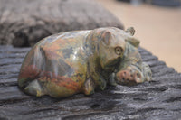 Polished Mixed Stone Hippo Carvings x 3 From Zimbabwe