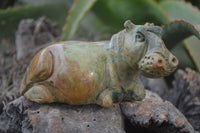 Polished Mixed Stone Hippo Carvings x 3 From Zimbabwe