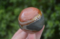 Polished Polychrome Jasper Mushrooms x 5 From Madagascar