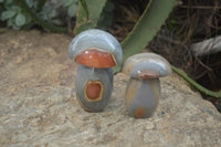 Polished Polychrome Jasper Mushrooms x 5 From Madagascar