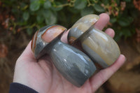 Polished Polychrome Jasper Mushrooms x 5 From Madagascar