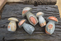 Polished Polychrome Jasper Mushrooms x 5 From Madagascar