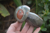 Polished Polychrome Jasper Mushrooms x 5 From Madagascar