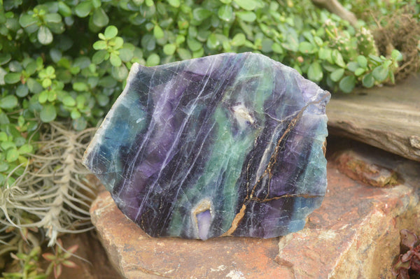 Polished Watermelon Fluorite Slices x 2 From Namibia