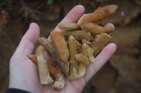 Natural Limonite Spirit Quartz Crystals x 35 From Boekenhouthoek, South Africa