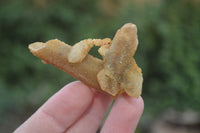 Natural Limonite Spirit Quartz Crystals x 35 From Boekenhouthoek, South Africa