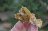 Natural Limonite Spirit Quartz Crystals x 35 From Boekenhouthoek, South Africa