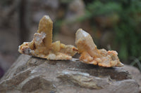 Natural Limonite Spirit Quartz Crystals x 35 From Boekenhouthoek, South Africa