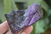 Natural Metallic Purpurite Cobbed Specimens x 12 From Erongo, Namibia