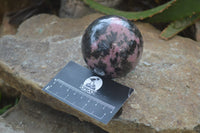 Polished Rhodonite Sphere-Balls x 3 From Ambindavato, Madagascar