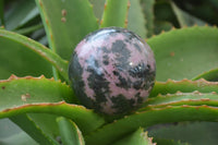 Polished Rhodonite Sphere-Balls x 3 From Ambindavato, Madagascar