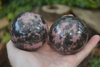 Polished Rhodonite Sphere-Balls x 3 From Ambindavato, Madagascar