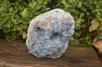 Natural Blue Celestite Geode Specimen x 1 From Sakoany, Madagascar