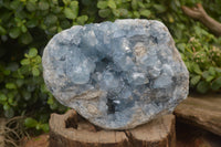 Natural Blue Celestite Geode Specimen x 1 From Sakoany, Madagascar