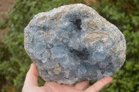 Natural Blue Celestite Geode Specimen x 1 From Sakoany, Madagascar